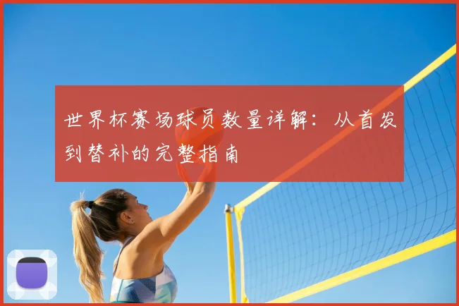 世界杯赛场球员数量详解：从首发到替补的完整指南