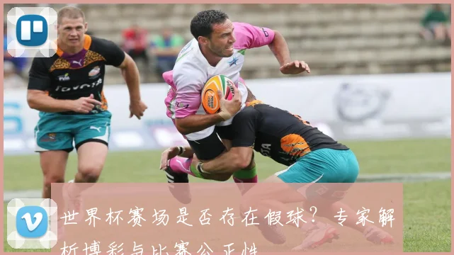 世界杯赛场是否存在假球？专家解析博彩与比赛公正性