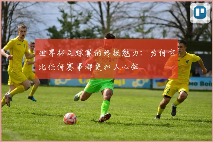 世界杯足球赛的终极魅力:为何它比任何赛事都更扣人心弦