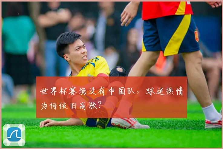 世界杯赛场没有中国队，球迷热情为何依旧高涨？