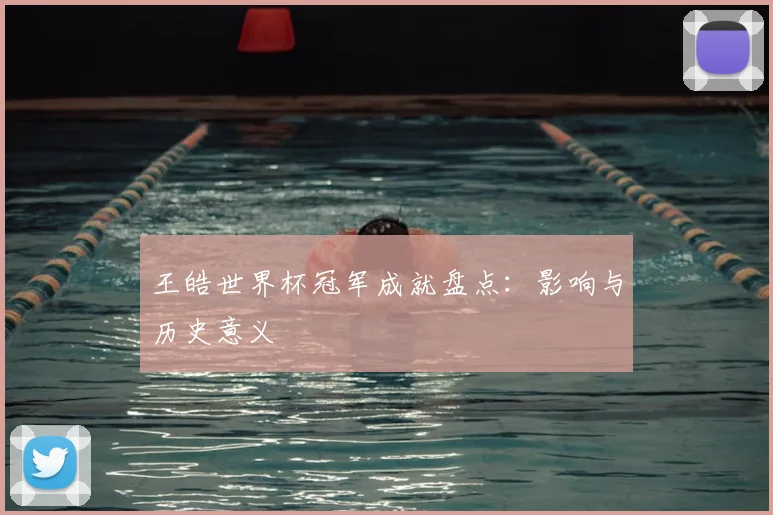 王皓世界杯冠军成就盘点:影响与历史意义