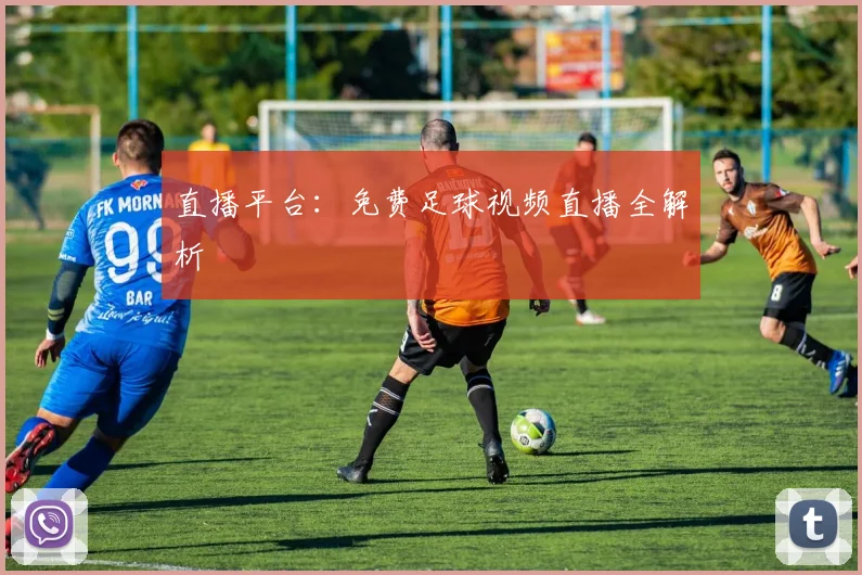 直播平台：免费足球视频直播全解析