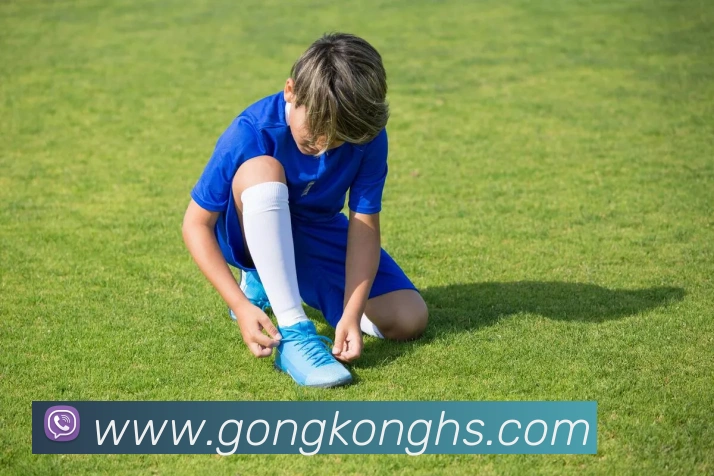 开云app官方版在线入口APP 封面图